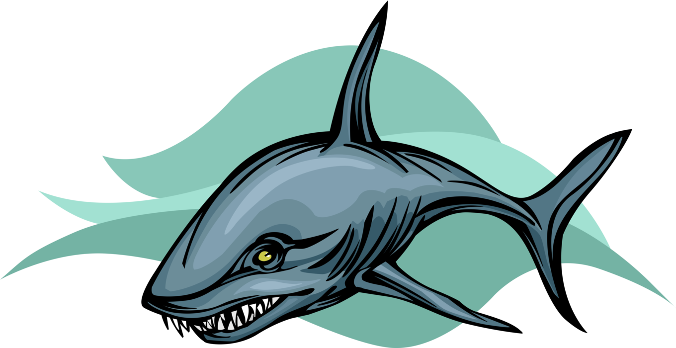 Vector Illustration of Fearsome Marine Predator Shark