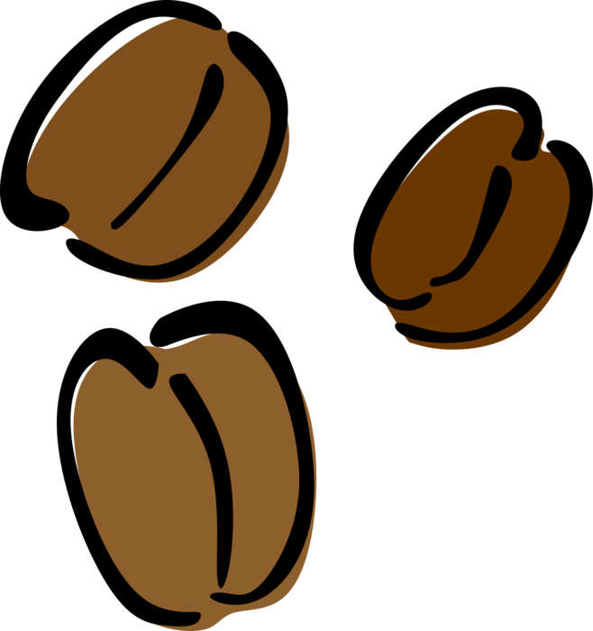 Vector Illustration of Coffee Bean Seeds of the Coffee Plant