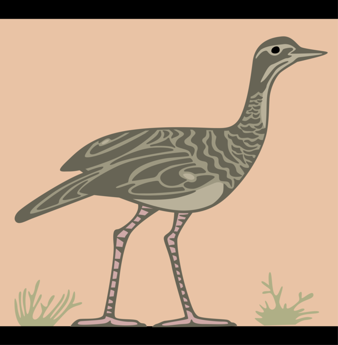 Vector Illustration of Feathered Bird