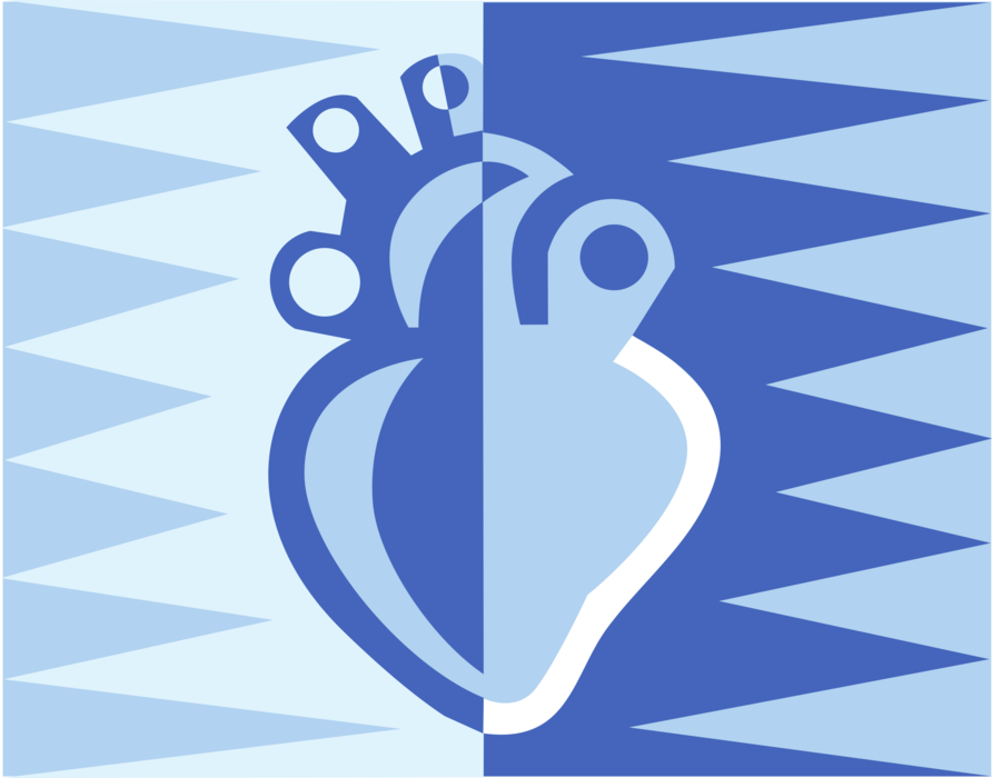 Vector Illustration of Human Heart with Aorta