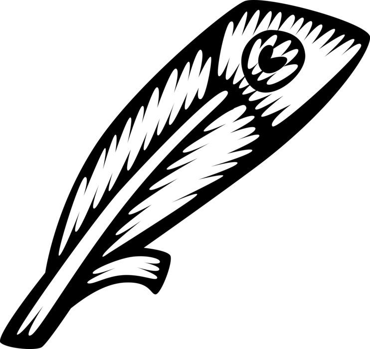 Vector Illustration of Bird Feather 