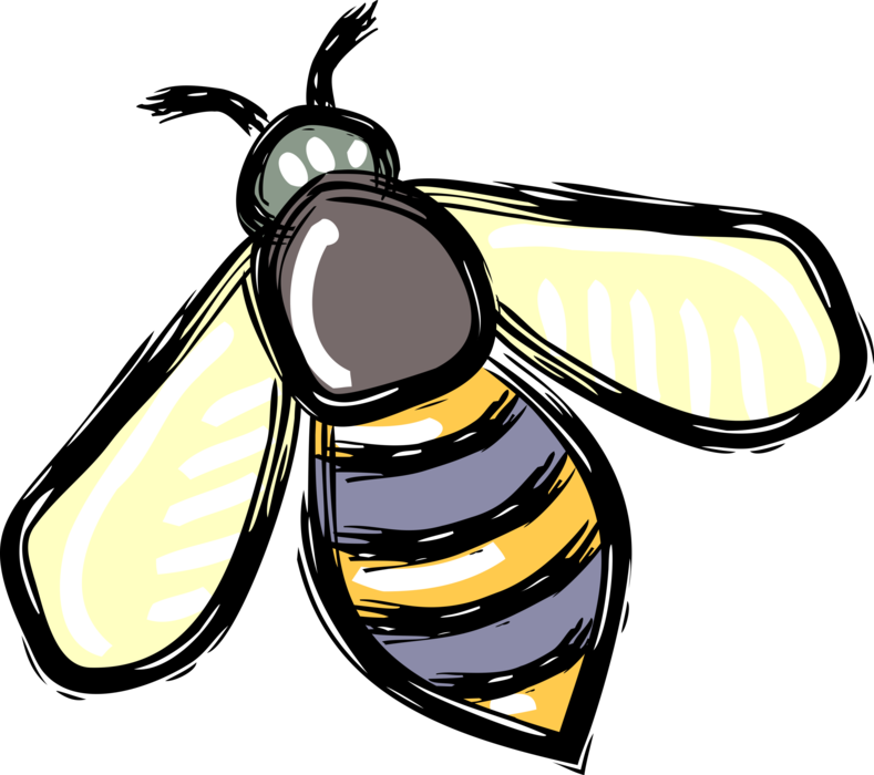 Vector Illustration of Bumblebee Honeybee Bee Flying Insect