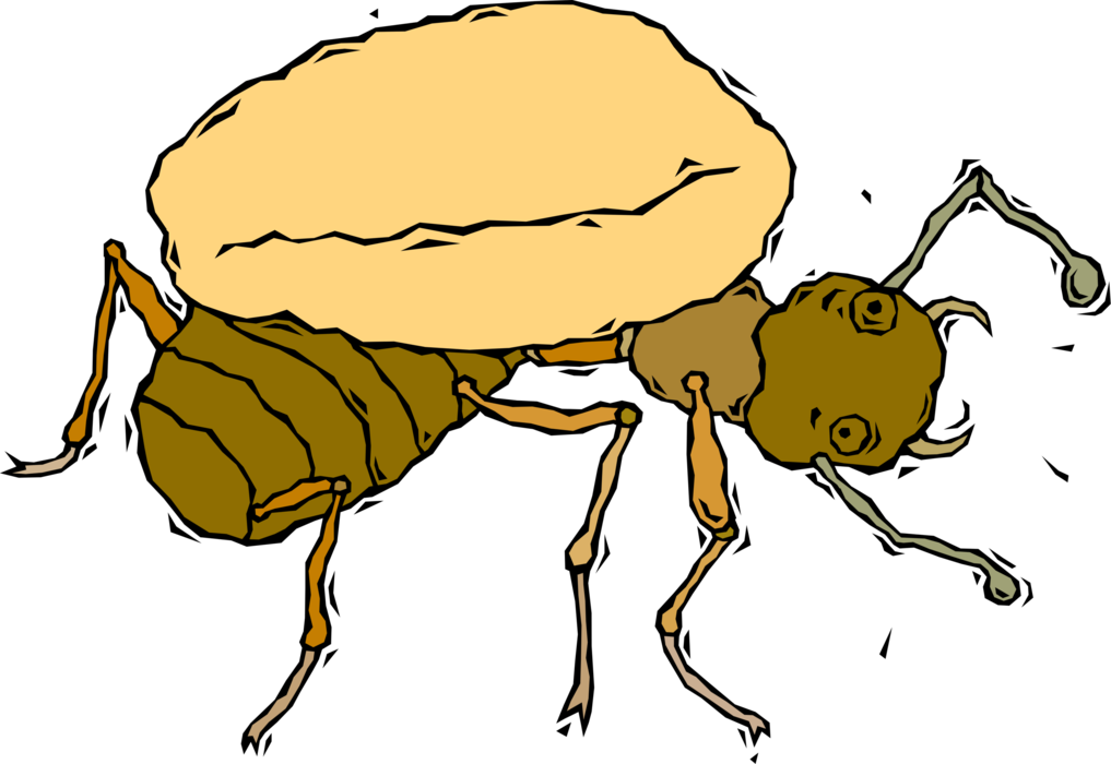 Vector Illustration of Worker Ant Insect Carries Heavy Load