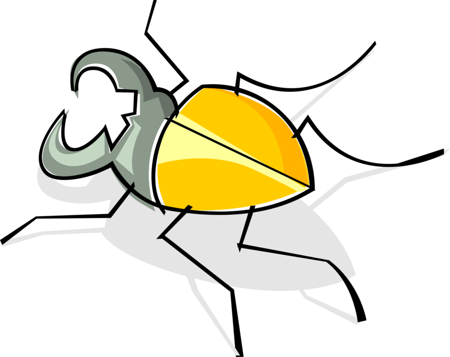 Vector Illustration of Insect Bug Beetle 