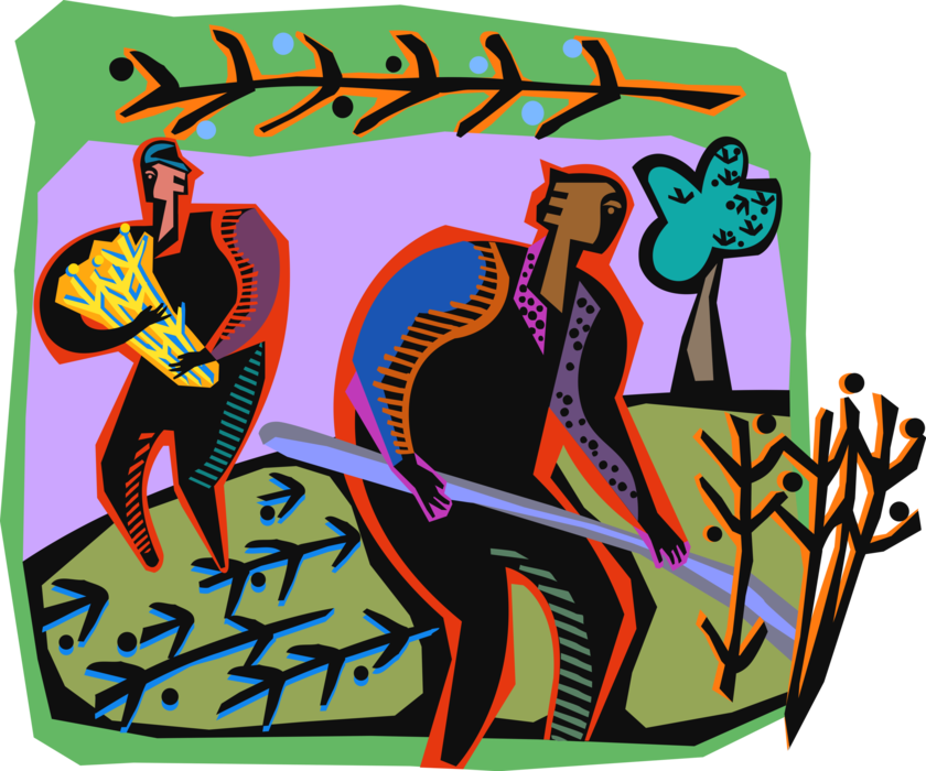 Vector Illustration of Farmers Harvesting Crop in Farm Fields