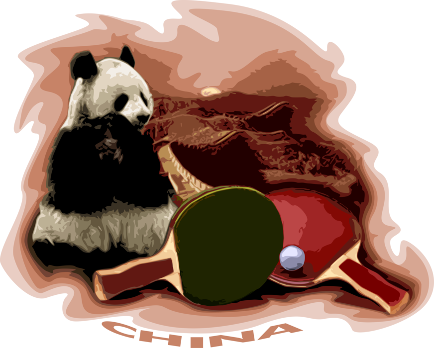 Vector Illustration of China with Chinese Giant Panda Bear Endangered Species Bears and Table Tennis Ping Pong Paddles