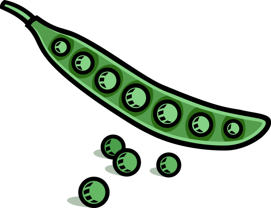 Vector Illustration of Seed-Pod Edible Vegetable Peas in Pod