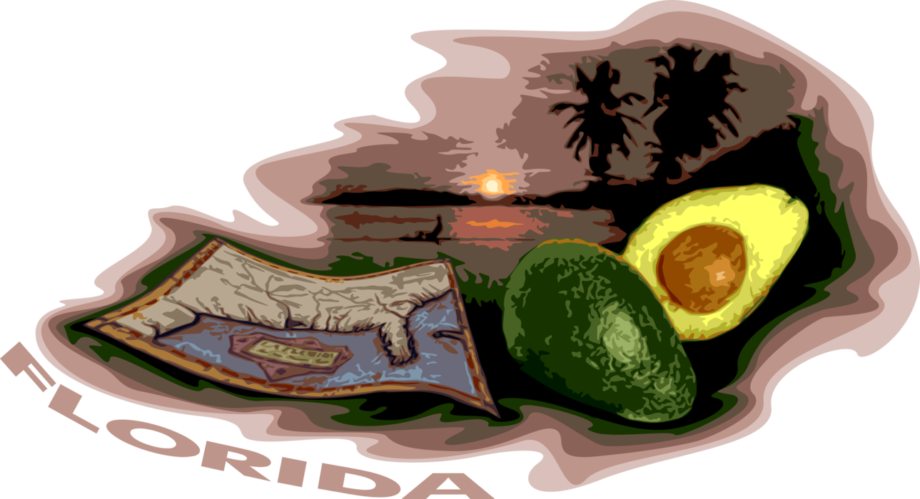 Vector Illustration of State of Florida Gulf of Mexico with Palm Trees and Avocado Fruit