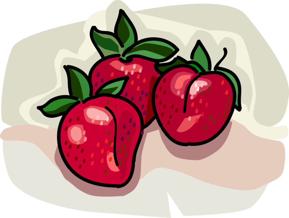Vector Illustration of Fresh Garden Strawberry Edible Fruit Strawberries