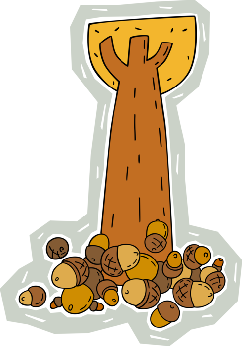 Vector Illustration of Acorns Fall on Ground Beneath Tall Oak Tree