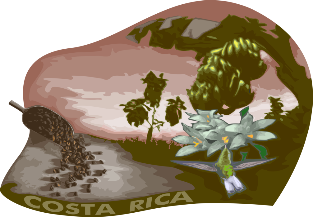 Vector Illustration of Costa Rica South America Postcard with Orchids, Banana Plantation and Coffee Beans