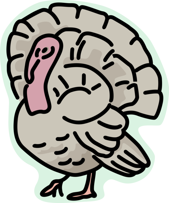 Vector Illustration of Domestic or Wild Turkey Christmas and Thanksgiving Traditional Dinner Animal