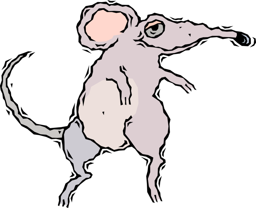 Vector Illustration of Rodent Mouse Needs Cheese