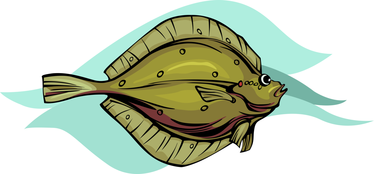 Vector Illustration of Flounder Flatfish Marine Fish