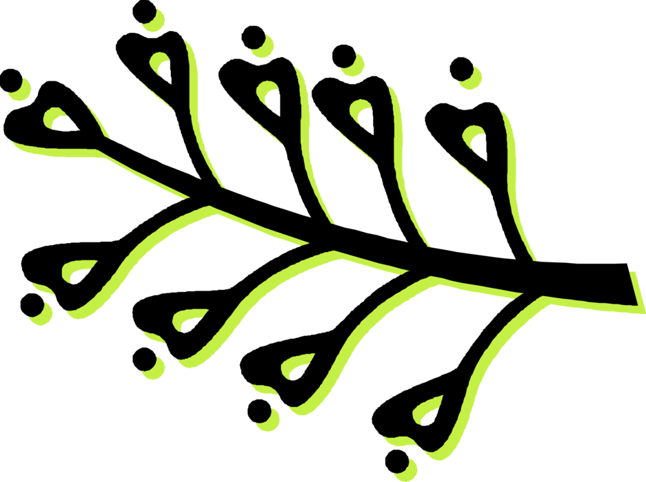 Vector Illustration of Vascular Botanical Horticulture Plant Foliage Leaves