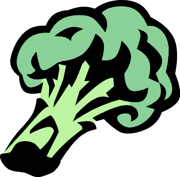 Vector Illustration of Broccoli Edible Garden Vegetable with Flowering Head