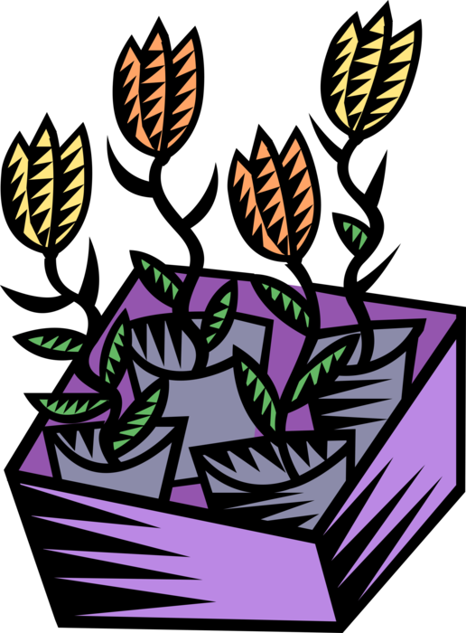 Vector Illustration of Houseplant Potted Flowers in Plant Flower Box