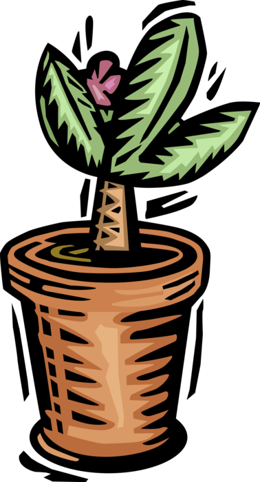 Vector Illustration of Potted Flower Plant Growing in Clay Pot