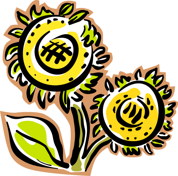 Vector Illustration of Sunflower Plant Growing in Summer Garden