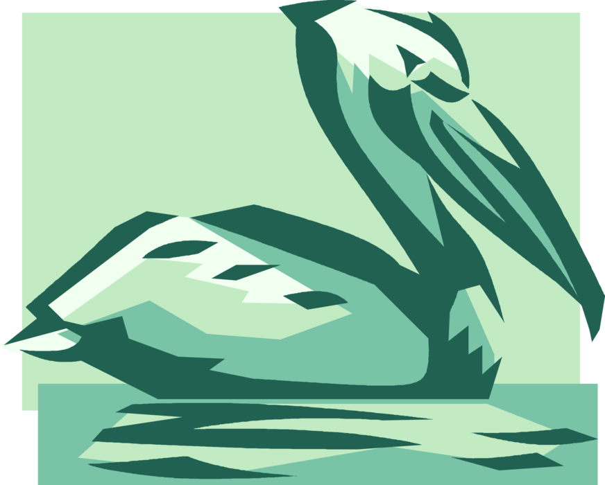 Vector Illustration of Large Water Bird Pelican