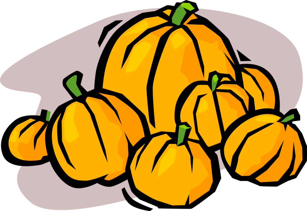 Vector Illustration of Farm Squash Crop Pumpkin Patch