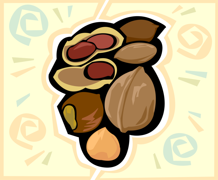 Vector Illustration of Hard Shell Edible Seed Nut Peanuts, Walnuts, Almonds, Hazelnut, Chestnut