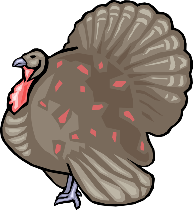 Vector Illustration of Domestic or Wild Turkey Christmas and Thanksgiving Traditional Dinner Animal