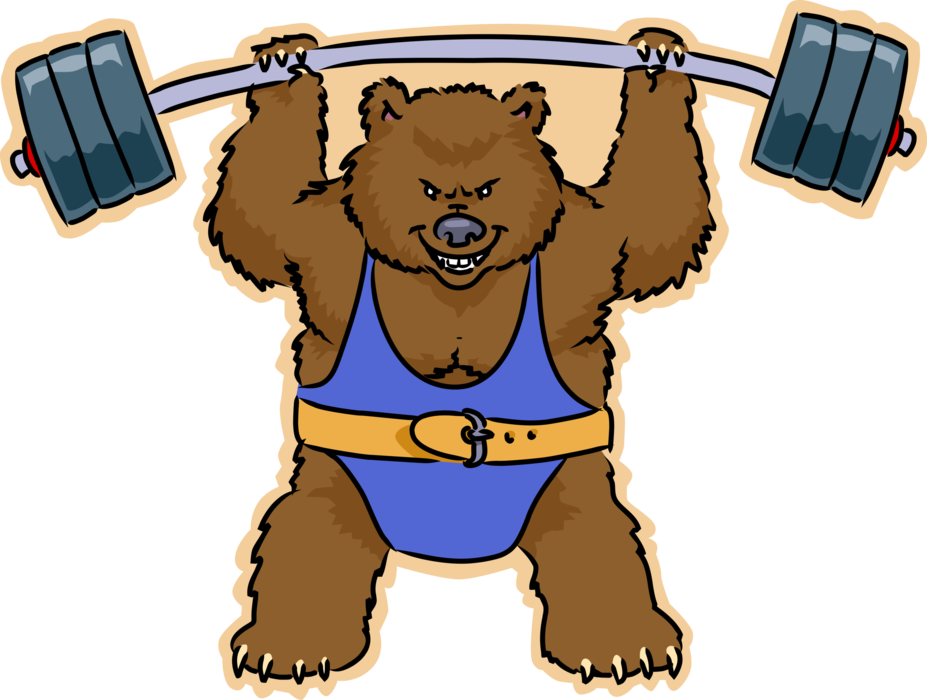 Vector Illustration of Weightlifting Power Lifter Bear Lifting Barbell Weights