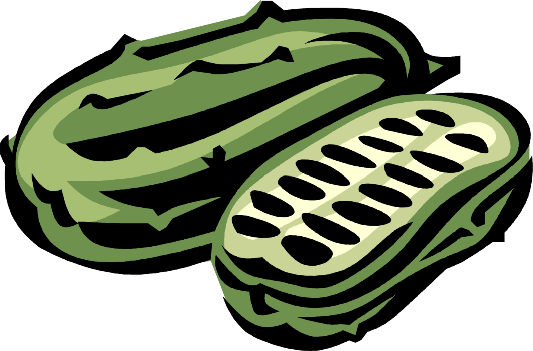 Vector Illustration of Pickle, Culinary Edible Creeping Vine Vegetable Cucumber