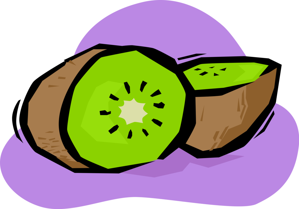 Vector Illustration of Kiwifruit, Chinese Gooseberry or Kiwi Edible Berry Fruit Food