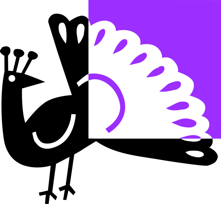 Vector Illustration of Brightly Colored Asiatic Peacock Bird