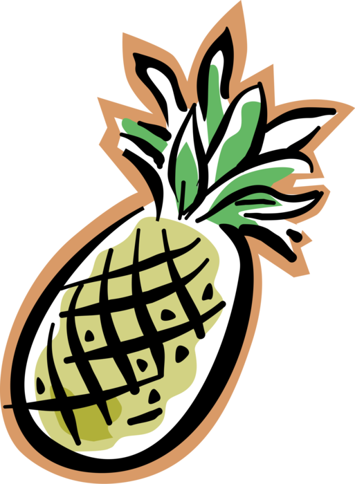 Vector Illustration of Tropical Plant Pineapple Fruit Food