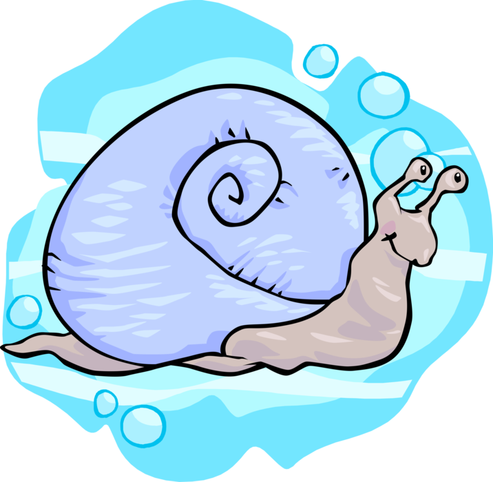 Vector Illustration of Snail or Terrestrial Gastropod Mollusk