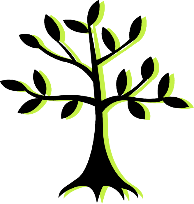 Vector Illustration of Deciduous Forest Tree Trunk and Foliage Leaves