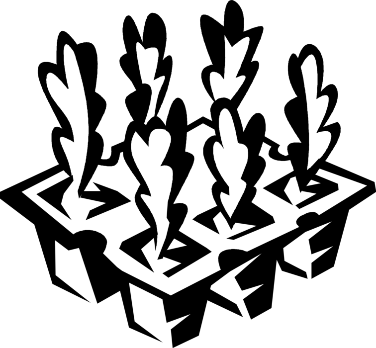 Vector Illustration of Gardening Germinated Seedling Plants in Seed-Starting Tray Flat