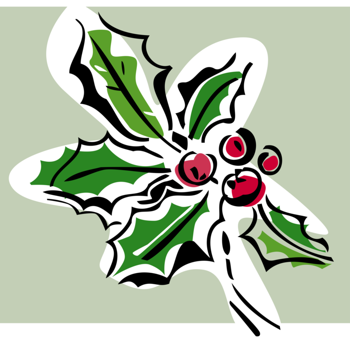 Vector Illustration of Traditional Christmas Holly Decoration