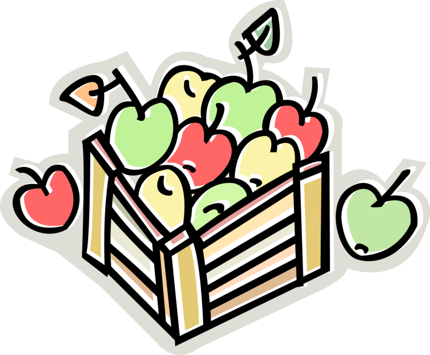 Vector Illustration of Apple Orchard Harvest Crate Full of Fruit Apples