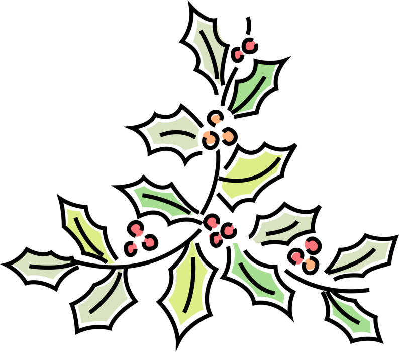 Vector Illustration of Festive Season Christmas Traditional Holly Decoration