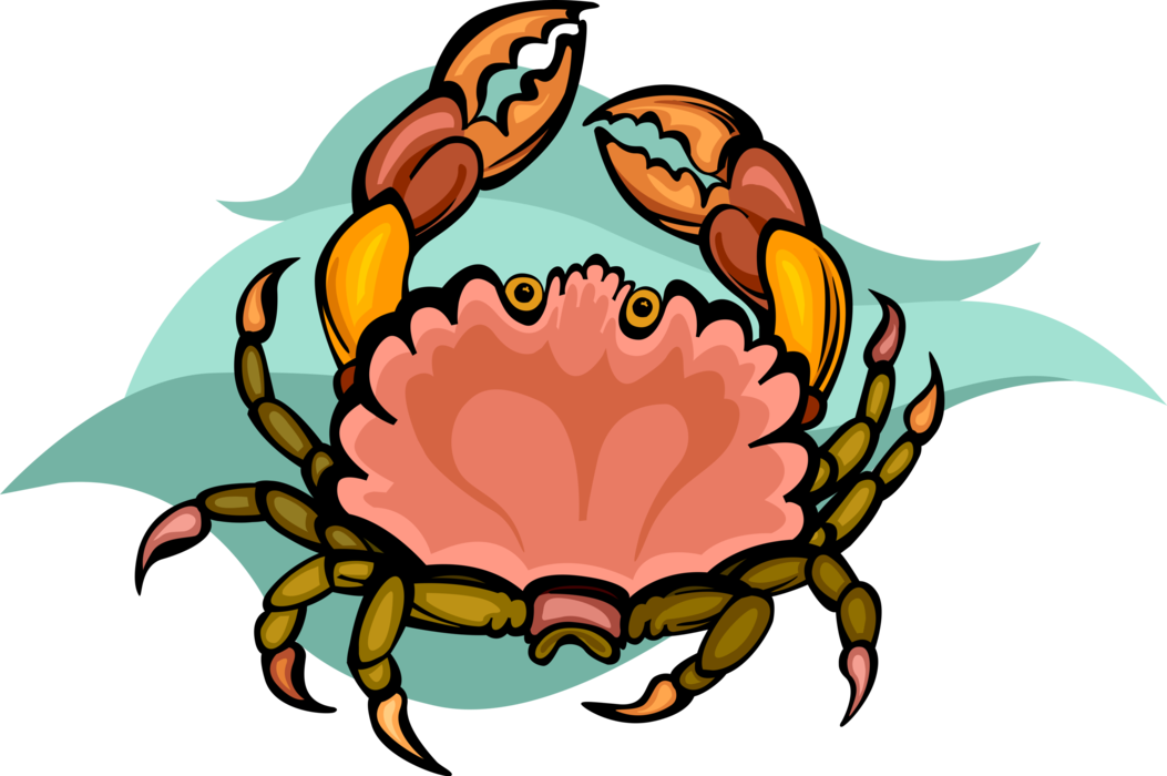 Vector Illustration of Decapod Marine Crustacean Crab with Claws