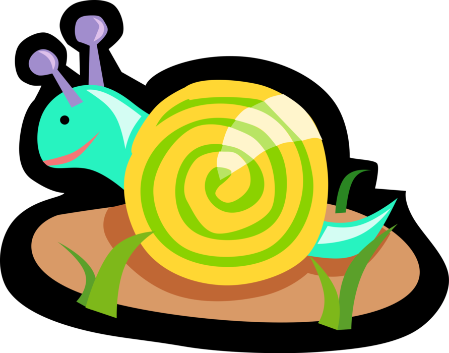 Vector Illustration of Snail or Terrestrial Gastropod Mollusk