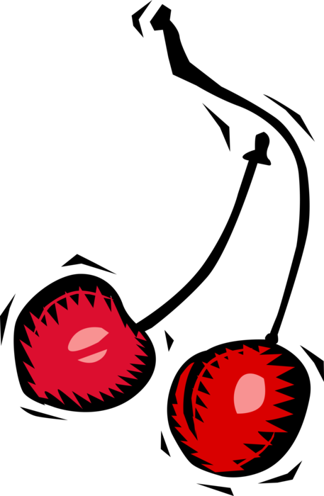 Vector Illustration of Sweet Fruit Cherries