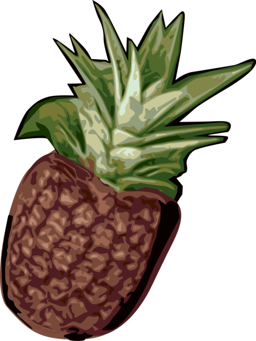 Vector Illustration of Tropical Plant Pineapple Fruit Food