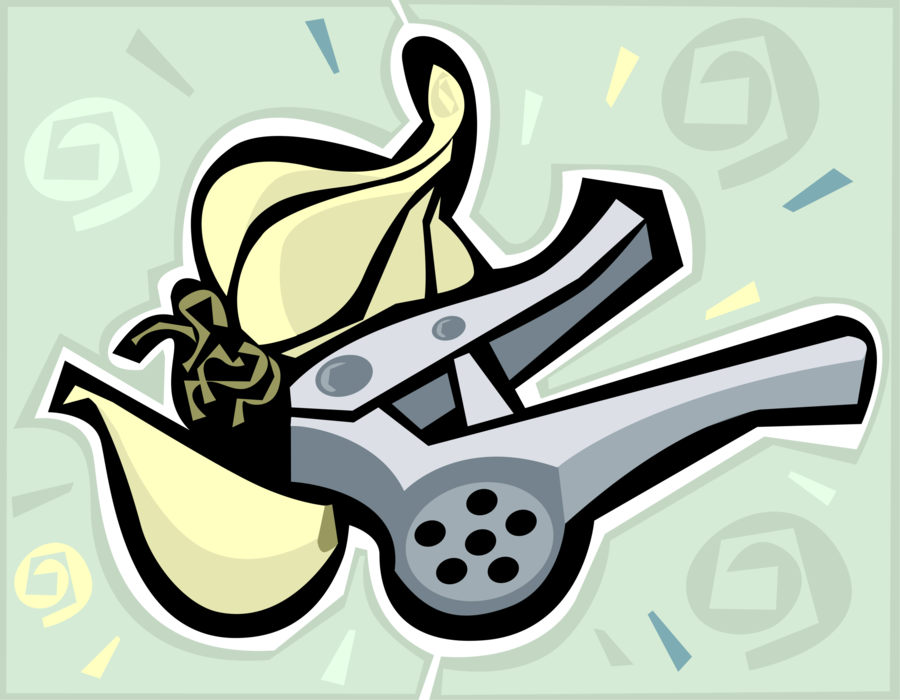 Vector Illustration of Garlic Press and Garlic Clove of Edible Pungent Culinary Bulb Plant