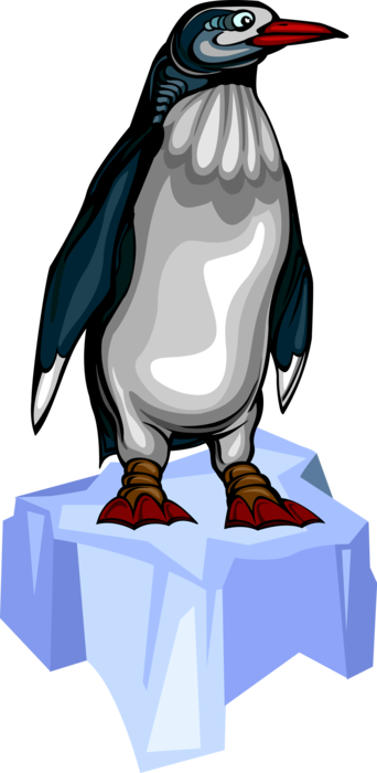 Vector Illustration of Southern Hemisphere Antarctic Polar Region Penguin Flightless Aquatic Bird on Ice Flow