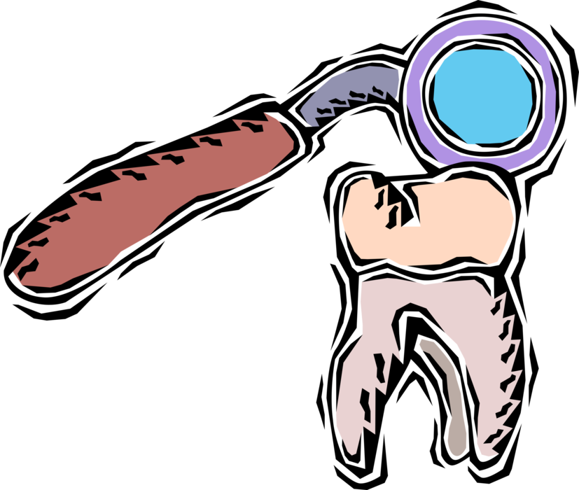 Vector Illustration of Enamel Tooth with Dental Mirror Instrument