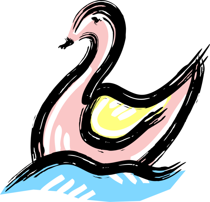 Vector Illustration of Muted Swan Bird Swimming