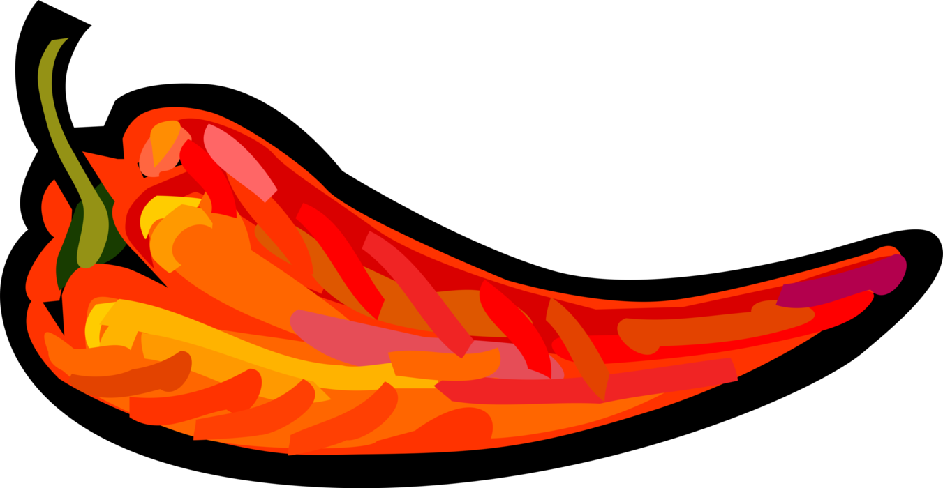 Vector Illustration of Cayenne Red Hot Chili or Chilli Pepper