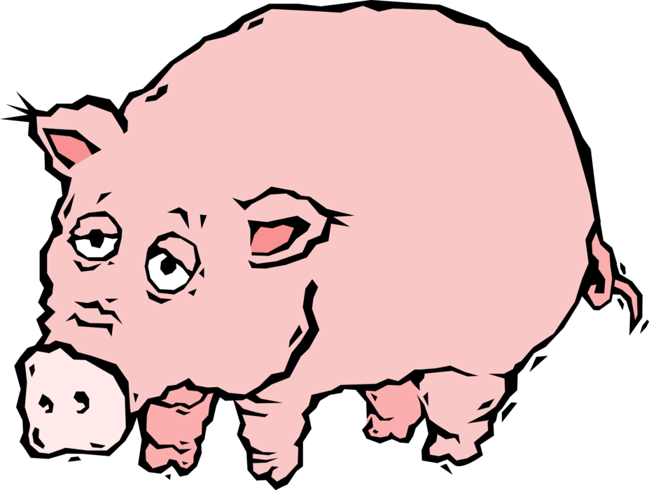 Vector Illustration of Omnivore Domestic Pig Makes Delicious Bacon