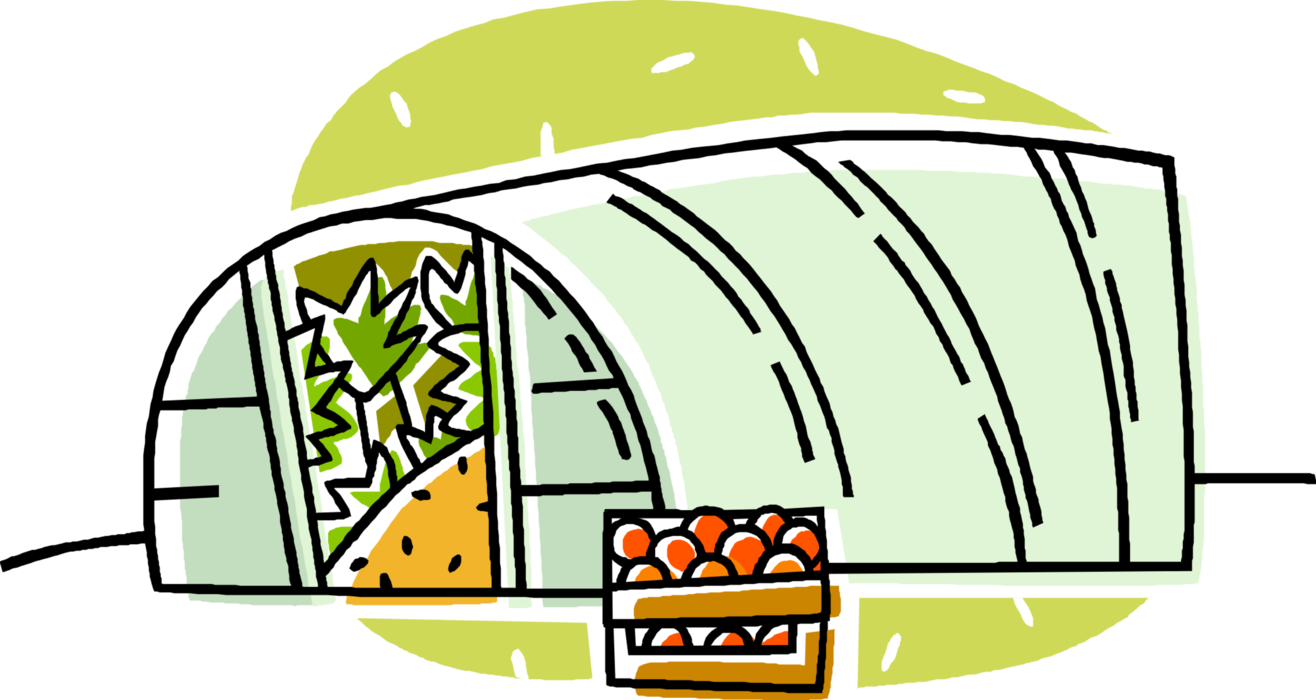 Vector Illustration of Greenhouse Nursery Where Plants are Propagated and Grown with Fruits and Vegetables