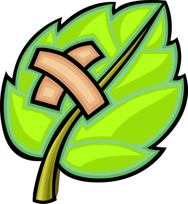 Vector Illustration of Threatened Environment with Leaf and Band-Aid Bandage